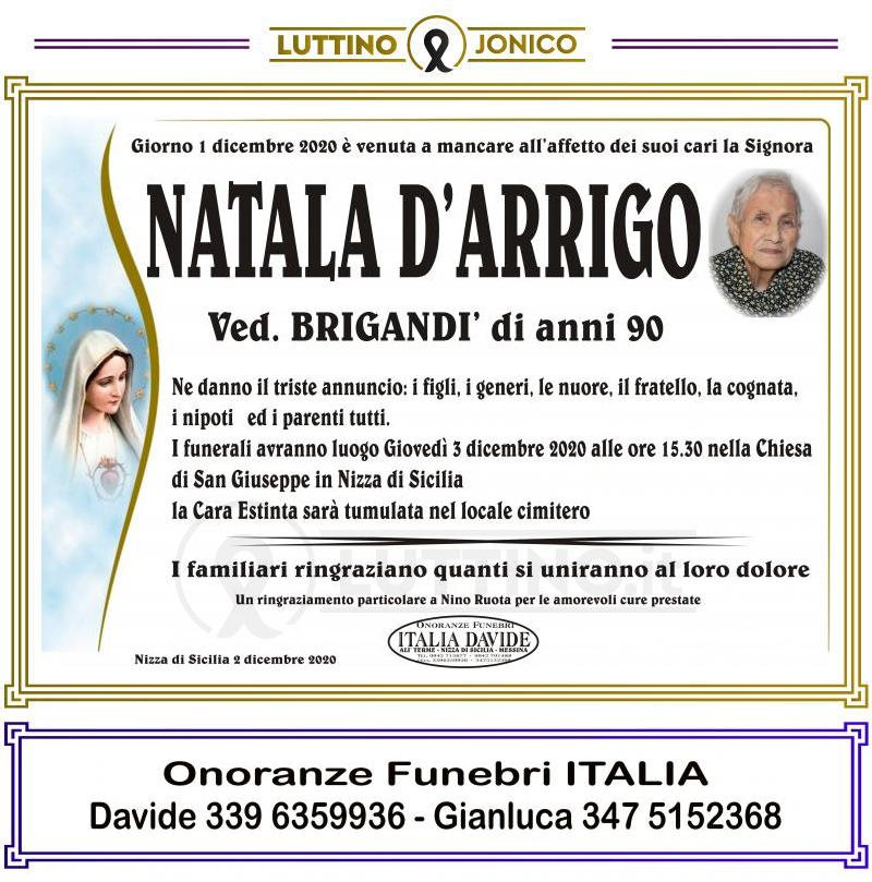 Natala  D'Arrigo 